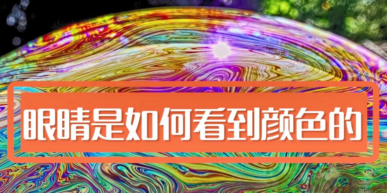 人類是如何看顏色的，影響人眼分辨顏色的因素有哪些?